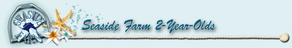 Seaside Farm